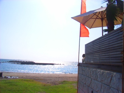 2007928bl1.jpg