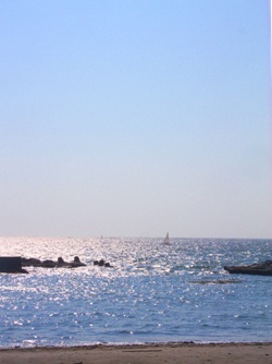 2007928bl2.jpg