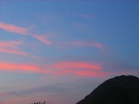 2007928bl7.jpg