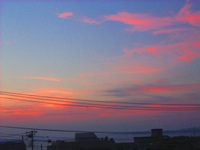 2007928bl8.jpg