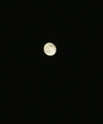 2007928bl9.jpg