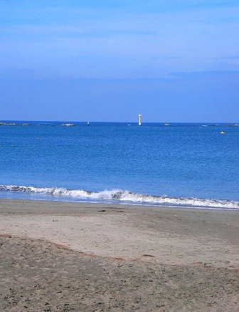 20080818bl3.jpg