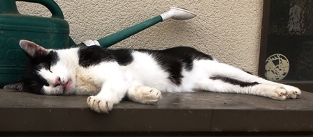 20130728bl1.jpg