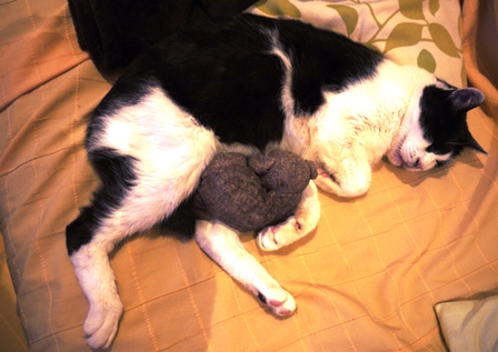 20131105bl1.jpg