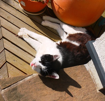 20140102bl2.jpg