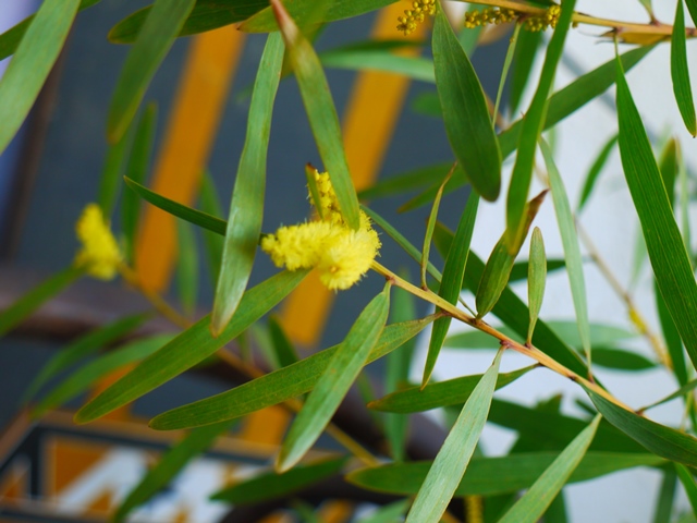 20140303bl7.jpg