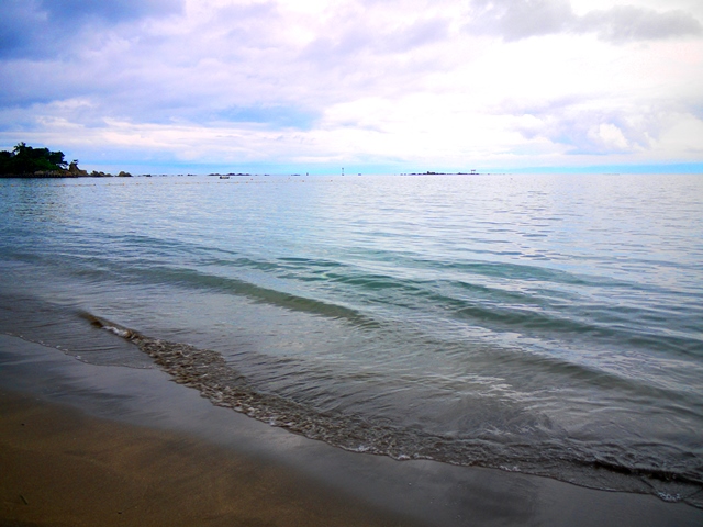 20140627bl5.jpg