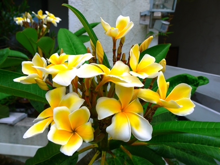 20140804bl3.jpg