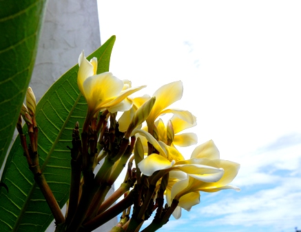 20140804bl5.jpg