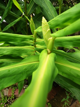20140804bl6.jpg