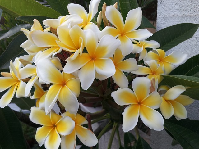201408186.jpg