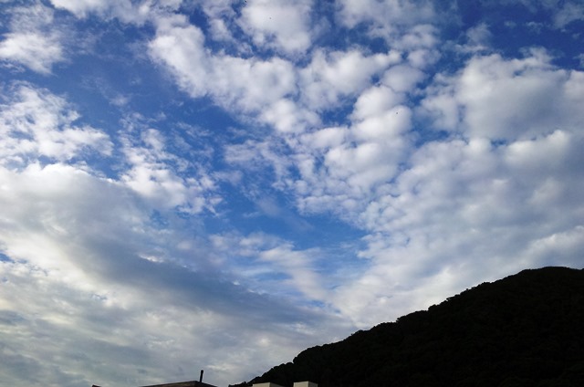 20140830bl15.jpg