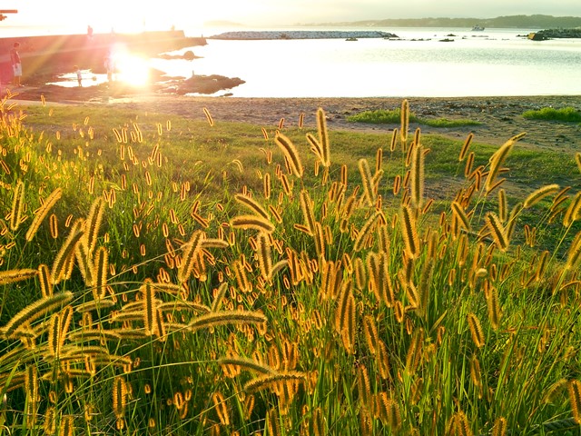 20140830bl19.jpg