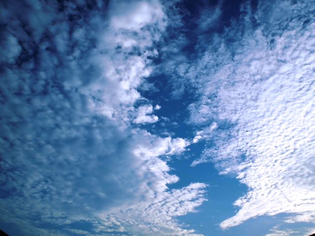 20140921bl3.jpg