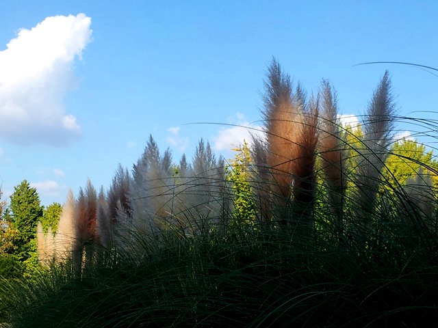 20141019bl18.jpg
